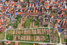 Vue aérienne de Jardins familiaux sur Seegartenweg à Hollstadt dans le département Bavière, Allemagne