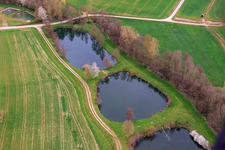 Vue oblique de Étangs à poissons sur l'Erbach à le quartier Sondheim in Mellrichstadt dans le département Bavière, Allemagne