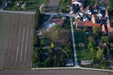 Vue aérienne de Jardin d'agrément du sud à Erlenbach bei Kandel dans le département Rhénanie-Palatinat, Allemagne