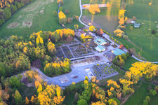 Photographie aérienne de Pépinière Bienwald et GREENTEC GmbH GbR à Berg dans le département Rhénanie-Palatinat, Allemagne