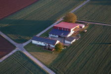 Vue d'oiseau de Billigheim-Ingenheim dans le département Rhénanie-Palatinat, Allemagne