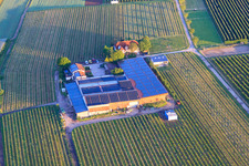 Vue aérienne de Gertrudenhof à Impflingen dans le département Rhénanie-Palatinat, Allemagne