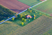 Vue aérienne de Grill hut Impflingen sur la B38 à Impflingen dans le département Rhénanie-Palatinat, Allemagne