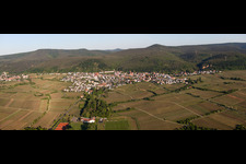 Vue aérienne de Panorama - perspective des vignobles du Haardtrand de la forêt du Palatinat à le quartier Königsbach in Neustadt an der Weinstraße dans le département Rhénanie-Palatinat, Allemagne