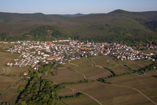 Photographie aérienne de Vignobles sur le Haardtrand de la forêt du Palatinat à le quartier Königsbach in Neustadt an der Weinstraße dans le département Rhénanie-Palatinat, Allemagne