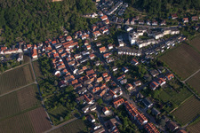 Photographie aérienne de Bague en amande à le quartier Haardt in Neustadt an der Weinstraße dans le département Rhénanie-Palatinat, Allemagne