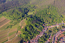Château de Kropsburg à le quartier SaintMartin in Sankt Martin dans le département Rhénanie-Palatinat, Allemagne hors des airs