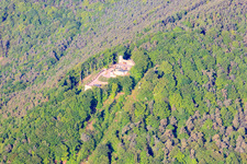 Vue aérienne de Ruines du château de Rietburg et chemin de fer de Rietburg à le quartier Rhodt in Rhodt unter Rietburg dans le département Rhénanie-Palatinat, Allemagne