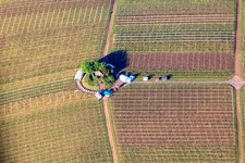 Vue aérienne de Célébration de Pâques dans les vignes de la chapelle Saint-Michel à le quartier Weyher in Weyher in der Pfalz dans le département Rhénanie-Palatinat, Allemagne