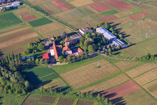 Vue aérienne de Institut de Recherche sur la Vigne à Siebeldingen dans le département Rhénanie-Palatinat, Allemagne