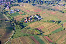 Vue aérienne de Institut de Recherche sur la Vigne à Siebeldingen dans le département Rhénanie-Palatinat, Allemagne