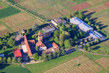 Photographie aérienne de Institut de Recherche sur la Vigne à Siebeldingen dans le département Rhénanie-Palatinat, Allemagne