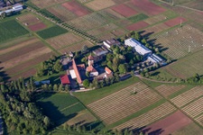 Vue oblique de Ensemble immobilier de l'Institut Julius Kühn Rebforschungsanstalt Geilweilerhof à Siebeldingen dans le département Rhénanie-Palatinat, Allemagne