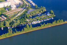 Vue aérienne de Port de plaisance sur le Rhin à Germersheim dans le département Rhénanie-Palatinat, Allemagne