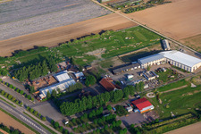 Vue aérienne de Ferme de fruits et d'asperges, Hofcafé Zapf à Kandel dans le département Rhénanie-Palatinat, Allemagne