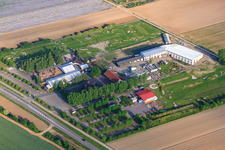 Photographie aérienne de Terrain de golf à pied d'Adamshof à Kandel dans le département Rhénanie-Palatinat, Allemagne