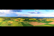 Vue aérienne de Champs et forêts à Brakel dans le département Rhénanie du Nord-Westphalie, Allemagne