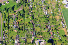 Vue aérienne de Jardin familial Hexenstieg à Höxter dans le département Rhénanie du Nord-Westphalie, Allemagne