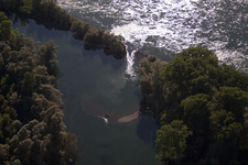 Vue aérienne de Zones riveraines du lit de l'Altrhein, renforcées par un barrage de protection contre les crues, dans le district de Bremengrund à Neuburgweier à Au am Rhein dans le département Bade-Wurtemberg, Allemagne