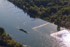 Vue aérienne de Cargo sur le Rhin à le quartier Neuburg in Neuburg am Rhein dans le département Rhénanie-Palatinat, Allemagne