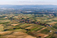 Vue aérienne de Champs agricoles et terres agricoles à Wintzenbach dans le département Bas Rhin, France