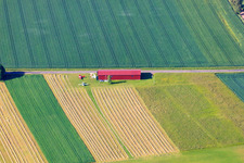 Vue aérienne de Aéroport Magolsheim UL Platz sur l'Alb à le quartier Magolsheim in Münsingen dans le département Bade-Wurtemberg, Allemagne