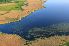 Photographie aérienne de Lac Federsee à Bad Buchau dans le département Bade-Wurtemberg, Allemagne