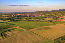 Vue aérienne de Champs le matin avant le village à le quartier Oberhofen in Pleisweiler-Oberhofen dans le département Rhénanie-Palatinat, Allemagne
