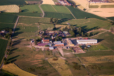 Vue aérienne de Ernst Frieder Hornberger à Willstätt dans le département Bade-Wurtemberg, Allemagne