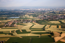 Vue aérienne de Du nord-est à le quartier Odelshofen in Kehl dans le département Bade-Wurtemberg, Allemagne