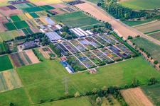 Vue aérienne de Pépinière vivace Gerhard Menton-Enderlin à Eichstetten am Kaiserstuhl dans le département Bade-Wurtemberg, Allemagne
