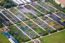 Vue aérienne de Pépinière de vivaces Kaiserstühler Staudenhof Gerhard Menton-Enderlin à Eichstetten am Kaiserstuhl dans le département Bade-Wurtemberg, Allemagne
