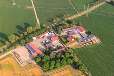Vue aérienne de Fraises Wochner et mâche et Oswald Schopp fermier à Merdingen dans le département Bade-Wurtemberg, Allemagne