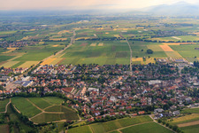 Vue aérienne de Weinbergstr à Heitersheim dans le département Bade-Wurtemberg, Allemagne