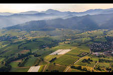 Vue aérienne de Paysage viticole en bordure de la Forêt-Noire à le quartier Britzingen in Müllheim im Markgräflerland dans le département Bade-Wurtemberg, Allemagne