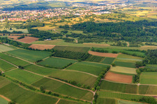 Vue aérienne de Aérodrome de vol à voile de Müllheim à Müllheim im Markgräflerland dans le département Bade-Wurtemberg, Allemagne