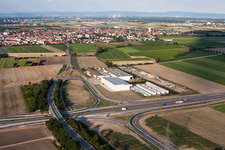 Vue aérienne de Coup de légumes V+V à Mutterstadt dans le département Rhénanie-Palatinat, Allemagne
