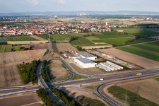 Photographie aérienne de Coup de légumes V+V à Mutterstadt dans le département Rhénanie-Palatinat, Allemagne