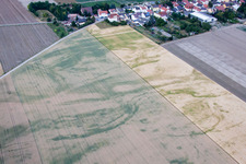 Photographie aérienne de Quartier Flomersheim in Frankenthal dans le département Rhénanie-Palatinat, Allemagne