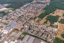 Vue aérienne de Zone urbaine avec périphérie et centre-ville à Maxdorf dans le département Rhénanie-Palatinat, Allemagne