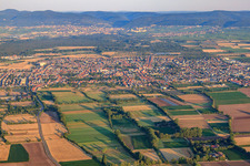 Vue aérienne de Vue d'ensemble de la ville depuis l'est à Haßloch dans le département Rhénanie-Palatinat, Allemagne