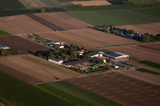 Mutterstadt dans le département Rhénanie-Palatinat, Allemagne hors des airs