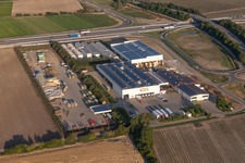 Vue aérienne de Propriété d'une ferme de légumes Renner V+V GmbH à Mutterstadt dans le département Rhénanie-Palatinat, Allemagne