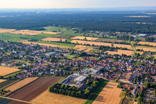 Vue aérienne de Garage Günter et distillerie Löwen GmbH à le quartier Niederlustadt in Lustadt dans le département Rhénanie-Palatinat, Allemagne