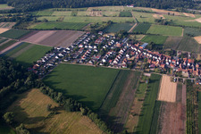 Du nord à Erlenbach bei Kandel dans le département Rhénanie-Palatinat, Allemagne vue du ciel