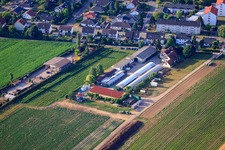 Vue oblique de Ferme biologique Kugelmann à Kandel dans le département Rhénanie-Palatinat, Allemagne