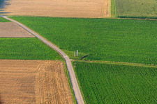 Vue oblique de Voler à le quartier Herxheim in Herxheim bei Landau dans le département Rhénanie-Palatinat, Allemagne