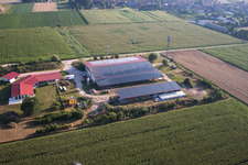 Vue oblique de Élevage de poulets Aussiedlerhof à Erlenbach bei Kandel dans le département Rhénanie-Palatinat, Allemagne