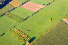 Vue aérienne de Ballon tué près d'Erlenbach à Erlenbach bei Kandel dans le département Rhénanie-Palatinat, Allemagne