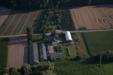 Vue aérienne de Jardiner à Erlenbach à Erlenbach bei Kandel dans le département Rhénanie-Palatinat, Allemagne